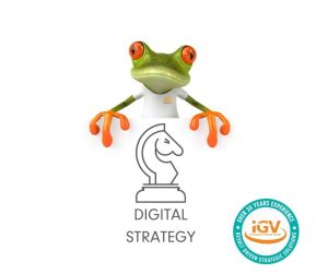Iggy Vision holding a sign that says "Digital Strategy"